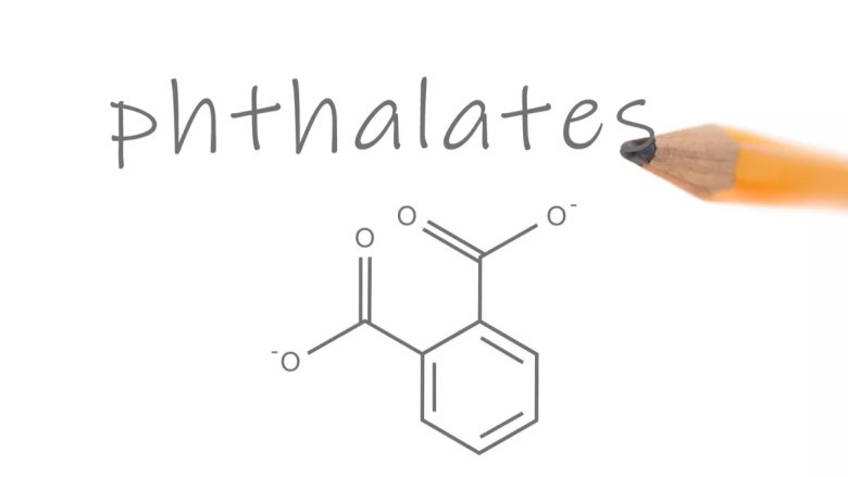 Phthalates dan Bisphenol A